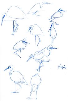 great egrets outside kitchen window