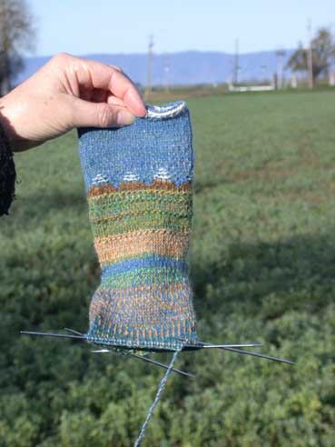 Delta socks in landscape