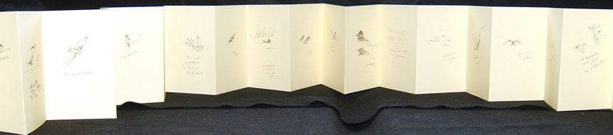 Accordion book of birdathon, back