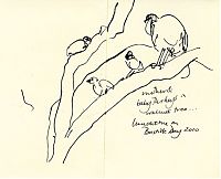 Wild turkey with chicks, pen and ink