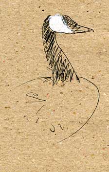 Canada goose, pen and prismacolor