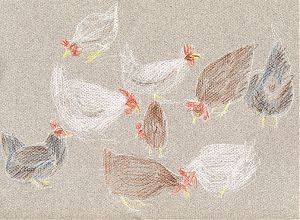 Chickens; prismacolor on mi-teintes