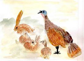 Turkeys and Jackrabbit, watercolor and prismacolor