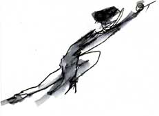 Tango dancer drawn in the dark
