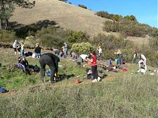 About forty volunteers planting native bunchgrasses