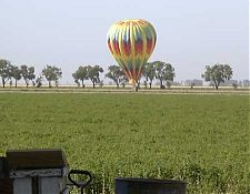 Balloon in field nearby Balloon in field nearby