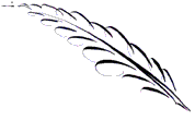 feather flourish feather flourish