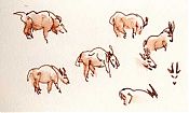 mountain goats, 10,500 feet up mountain goats, 10,500 feet up