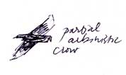 Albinistic crow: ballpoint pen