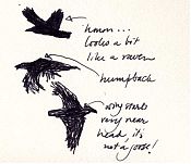 American crows: pen and ink on Sundance Felt