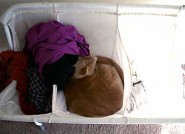 Charlie in the laundry hamper