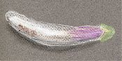 white eggplant in pastel pencils white eggplant in pastel pencils