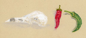 Skull with peppers Skull with peppers