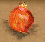 Pomegranate in pastel pencil
