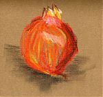 Pomegranate in pastel pencil Pomegranate in pastel pencil