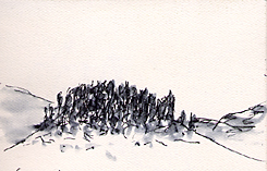 Cerro La Jara Cerro La Jara