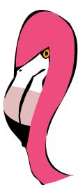 Flamingo -- digitized color