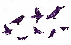 American crows: pen and ink
