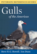 photo of gull book jacket