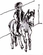 Tesla on Cody, a dapple gray