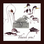 Volunteer pin plus card