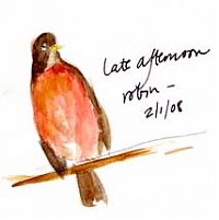 American robin, watercolor on sketch paper