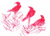 crows, red ballpoint