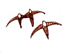 White-throated swifts, pen and ink