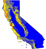 Manzanita species richness