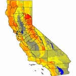 California native plant species richness California native plant species richness