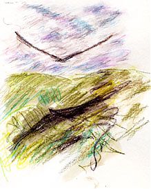 Turkey Vulture, Derwent Inktense Turkey Vulture, Derwent Inktense