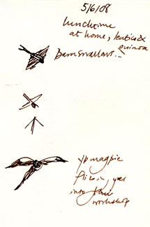 Birds in flight, pen and ink