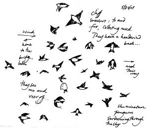 Cliff swallows, pen and ink