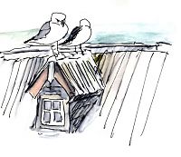 Western gulls on roof at Alcatraz, pen and watercolor wash