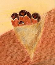 Barn swallow chicks, busting out, pastel on Canson mi-teintes