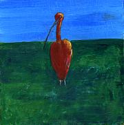 White-faced ibis, acrylic on board