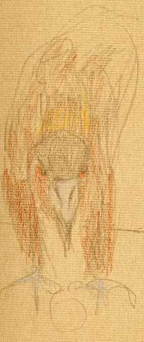 Golden eagle, Derwent coloursoft on Fabriano artistico