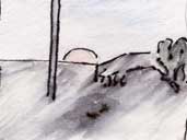 Solstice moon rising