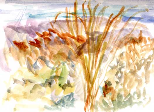 Ocotillo with San Jacinto Mountains in background, watercolor