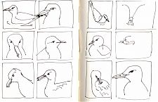 Gulls at the Metreon fountains, San Francisco -- pen and ink