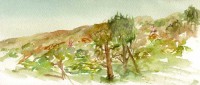Cold Canyon watercolor