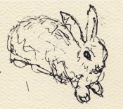 The cooperative rabbit