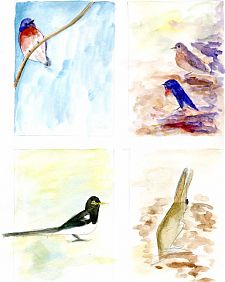 Bluebirds, Magpie, Jackrabbit -- watercolor