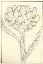 Karen's artichoke Karen's artichoke