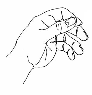 My left hand: a pen and ink drawing My left hand: a pen and ink drawing