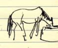 Feeding horse: sketch Feeding horse: sketch
