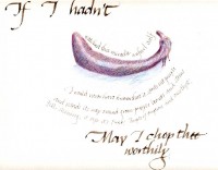 Drawing of Ichiban eggplant Drawing of Ichiban eggplant