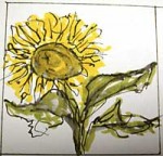 Sunflower Sunflower