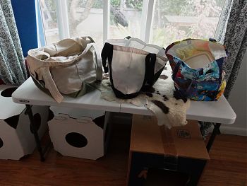 A photo of three reusable grocery bags on top of a table covered by a sheepskin near a window. A photo of three reusable grocery bags on top of a table covered by a sheepskin near a window.