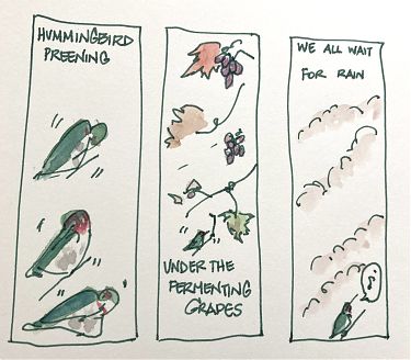 three-panel haiku comic three-panel haiku comic